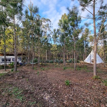 Yuccasa - Small Glamping Camping & Studio'S Pombal  Exterior photo